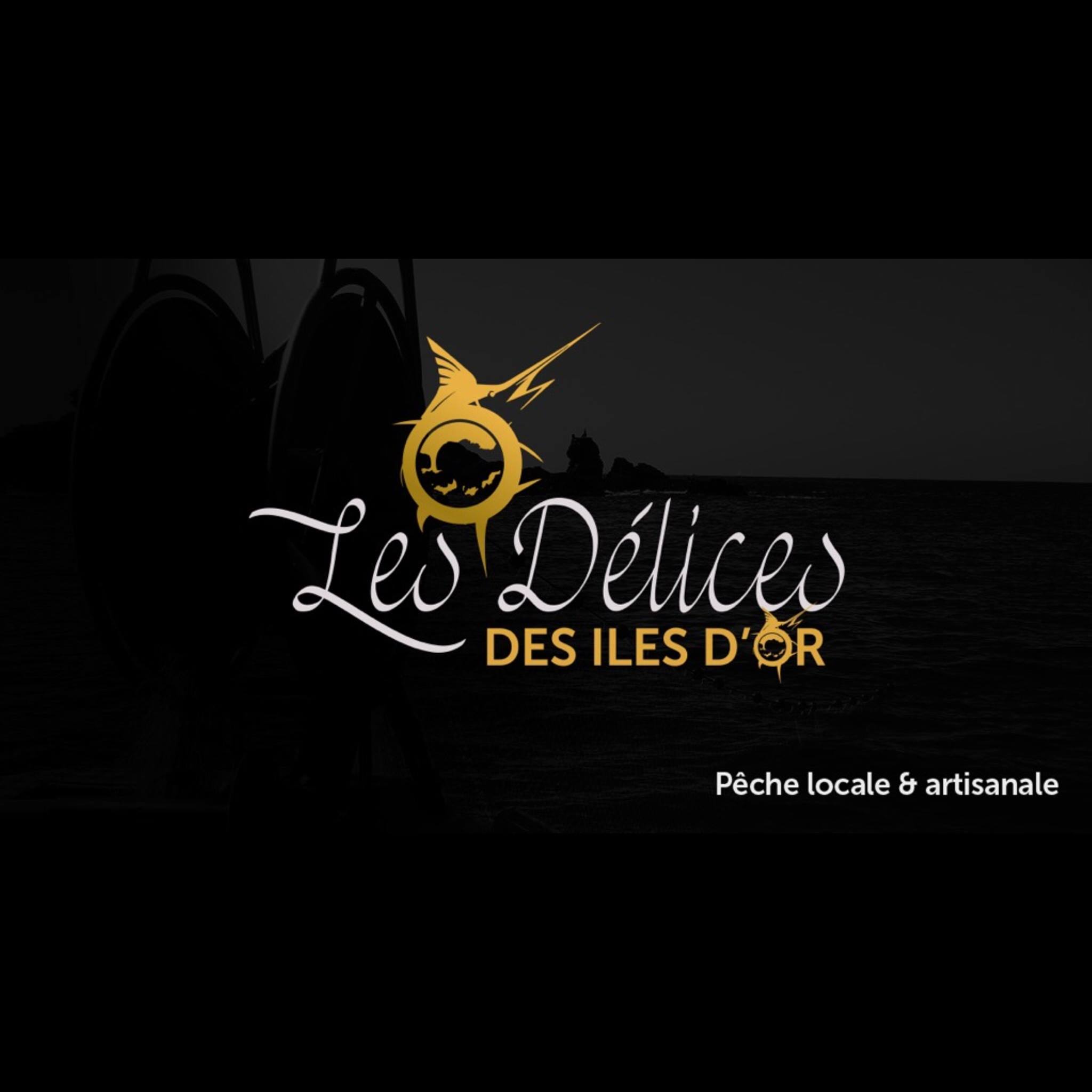 logo les delices des iles d or